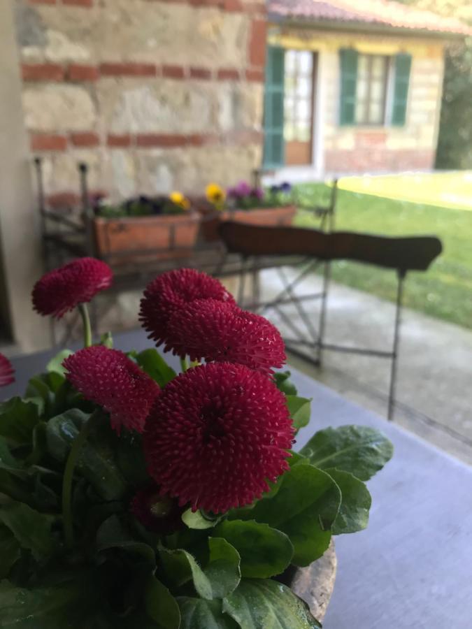 Dimora Storica La Corte Delle 4 Stagioni Ozzano Monferrato Exterior foto