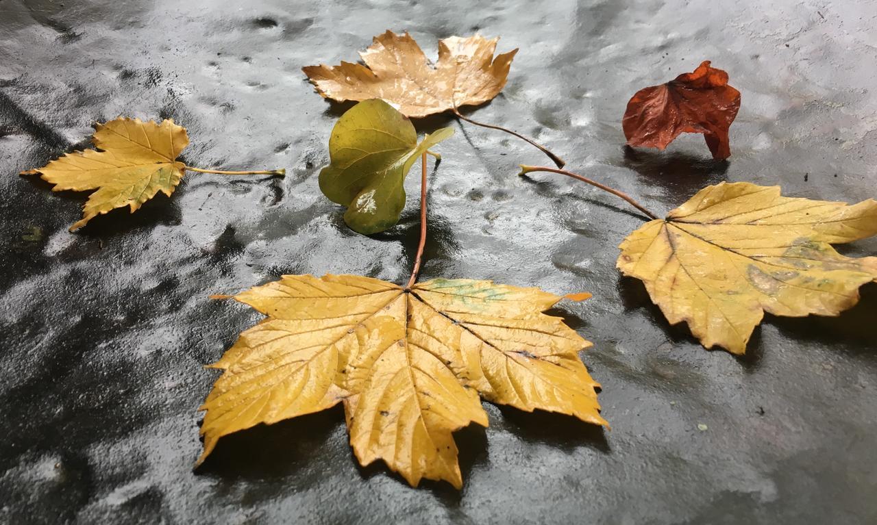 Dimora Storica La Corte Delle 4 Stagioni Ozzano Monferrato Exterior foto
